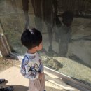 시우목장 이미지