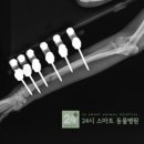 24시스마트동물메디컬센터 이미지