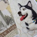 펫 목욕하는날 이미지