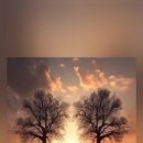 중앙로 17 이미지