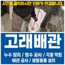 변기막힘 - 관악구 남부순환로 1430 | 수안동 변기막힘 후기