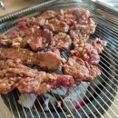 안포정