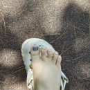 넬바이지