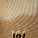 올목, jeju 이미지