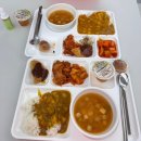 화성시자원봉사센터 강당 | [봉사활동 기록] 2025 부산 생물다양성 탐사 안전관리 자원봉사자 후기