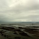 청포대해수욕장 이미지