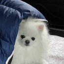 별빛하늘캠프닉 이미지