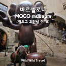 모코(MOCO) | 현대미술 끝판왕! 바르셀로나 모코 뮤지엄 추천 이유