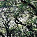 다보인다안경 이미지