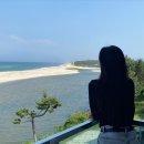 감나무목장 이미지