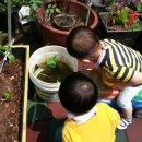 대현어린이집 이미지