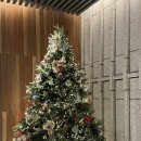 옥모텔 | 서울 오월호텔 우드 테라스 숙박 후기 내돈내산 가성비 호캉스 추천