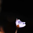 고은사 - 광진구 자양로 94 | 고은사