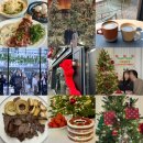 강남족욕(광명점) | [임신일기#6] 24주-27주 : 증상, 태동, 바디필로우, 크리스마스, 입체초음파, 임당검사, 베이비페어