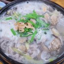 뚝배기손칼국수 이미지