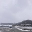 영환농장 이미지