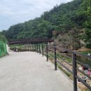 경성꽈배기일산