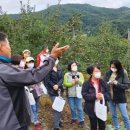 냇강마을 이미지