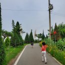 별이&체리 이미지