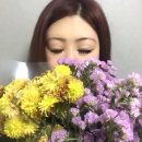 뷰티아이 이미지