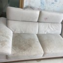 꼼꼼건강 | 광주쇼파청소 집안의 건강한 변화, 꼼꼼홈케어 후기