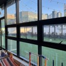 독탑라운지 | [김포 구래역] 루프탑 애견호텔 카페 '독탑라운지' 데이트코스 추천