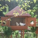 비둘기집 이미지