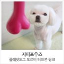 도그핑크 이미지