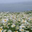 부안변산마실길 이미지