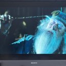 드루왕왕 이미지