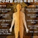 탄수화물 부족 증상 두통 탄수화물 하루 섭취량 권장량 이미지
