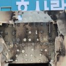 고령효사랑요양병원 오마이뉴스