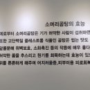 허씨네 맛집