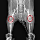 유니온동물병원 이미지