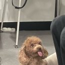 미봉헤어 범계본점