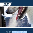 가야동물병원 이미지