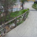 라이브구이 이미지