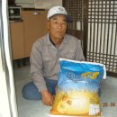 내일2리 이미지