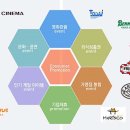 라이온PC 이미지