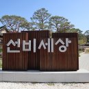 제34회 안동권씨 전국체육대회 영주에서 개최 (1) 이미지