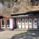 두두농장 | [강원도여행/홍천] 국내여행지 추천 귀여운 알파카를 만날 수 있는 “알파카월드”