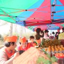 신평마을 이미지