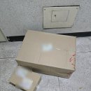 초보의 새우항) 2자 어항 꾸미기 필그린 걸이식여과기 / 미니노치도메 / 플루이탄스 / 생이가래 / 살...