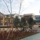 사덕시장 이미지