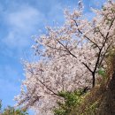 일곤농장 이미지