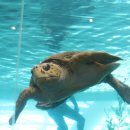 국립해양박물관 이미지