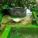 앵두나무우물가에 이미지