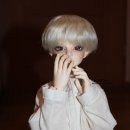 루츠돌스 이미지