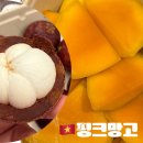 핑크망고 | 다낭 망고가게 추천 푸라마리조트 근처 핑크망고