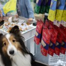 서울종합동물병원 이미지